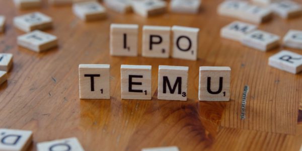 Amtech Esters IPO