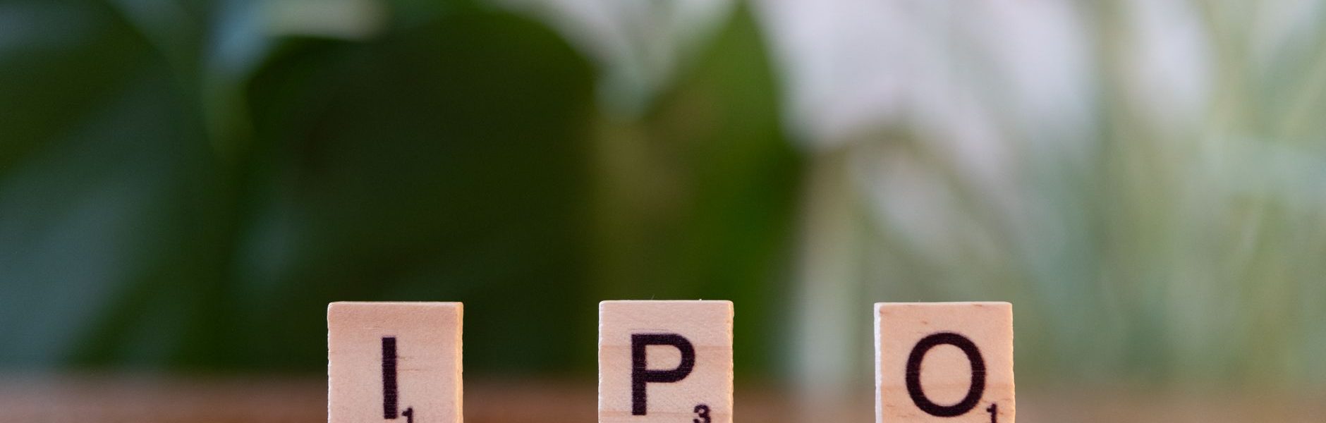 NSE IPO subscription